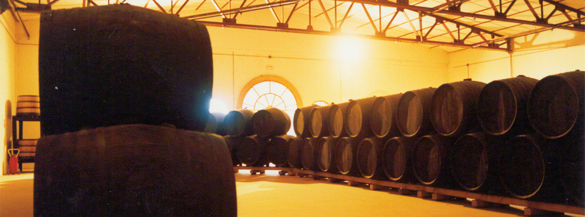 Sector vitivinícola